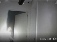 Veja momento em que policiais prendem Deolane&nbsp;Bezerra